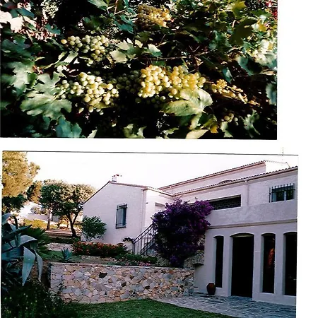 Nouveautes 2026 Du Clos-la Tonnelle Villa *