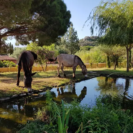 Nouveautes 2025 Du Clos-la Tonnelle * Calvi (Corsica)