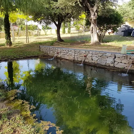 Nouveautes 2026 Du Clos-la Tonnelle * Calvi (Corsica)